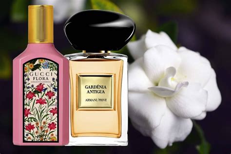 best gardenia perfume 2023|perfumes that smell like gardenias.